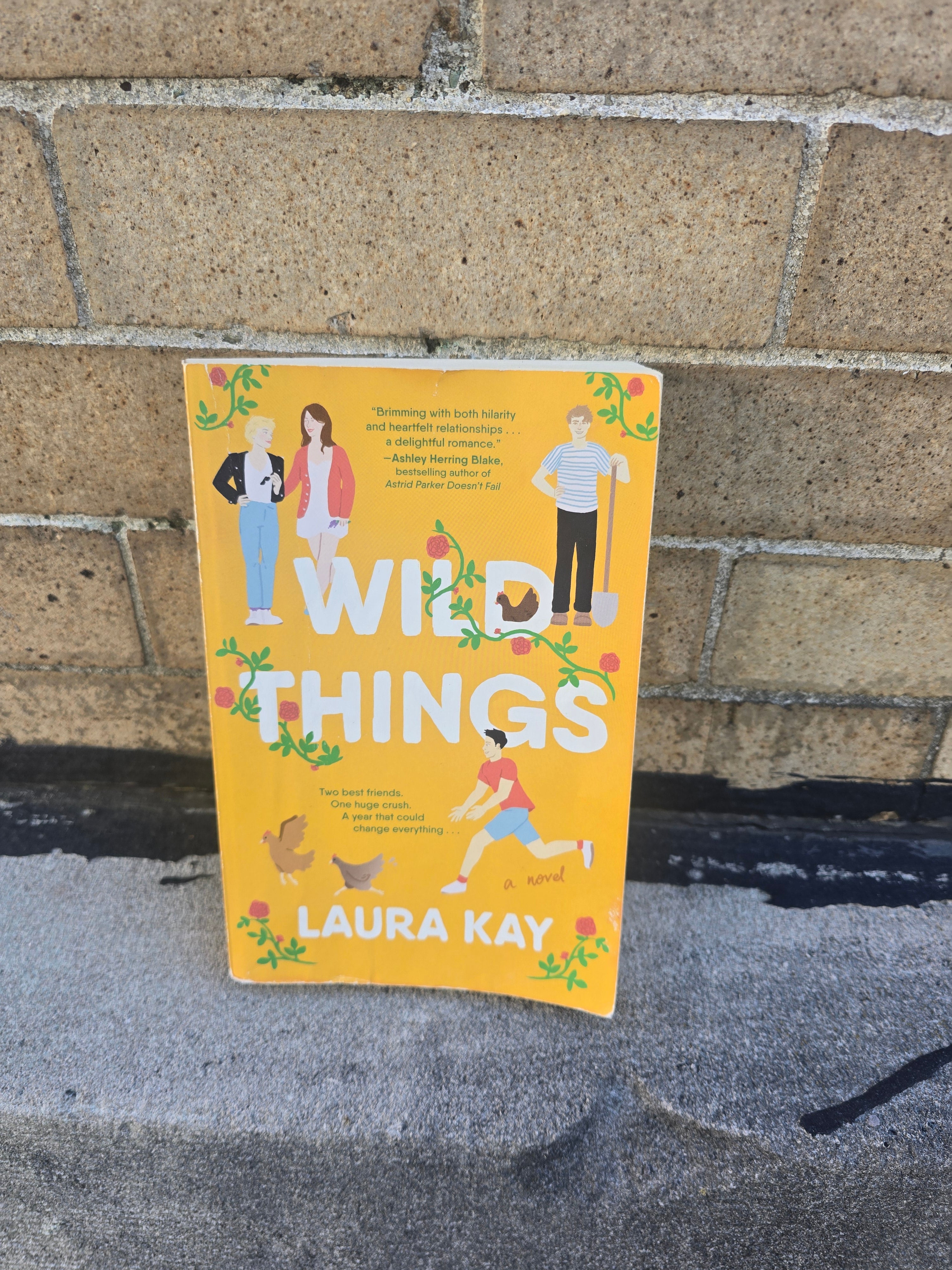 Wild Things — Laura Kay (Paperback)