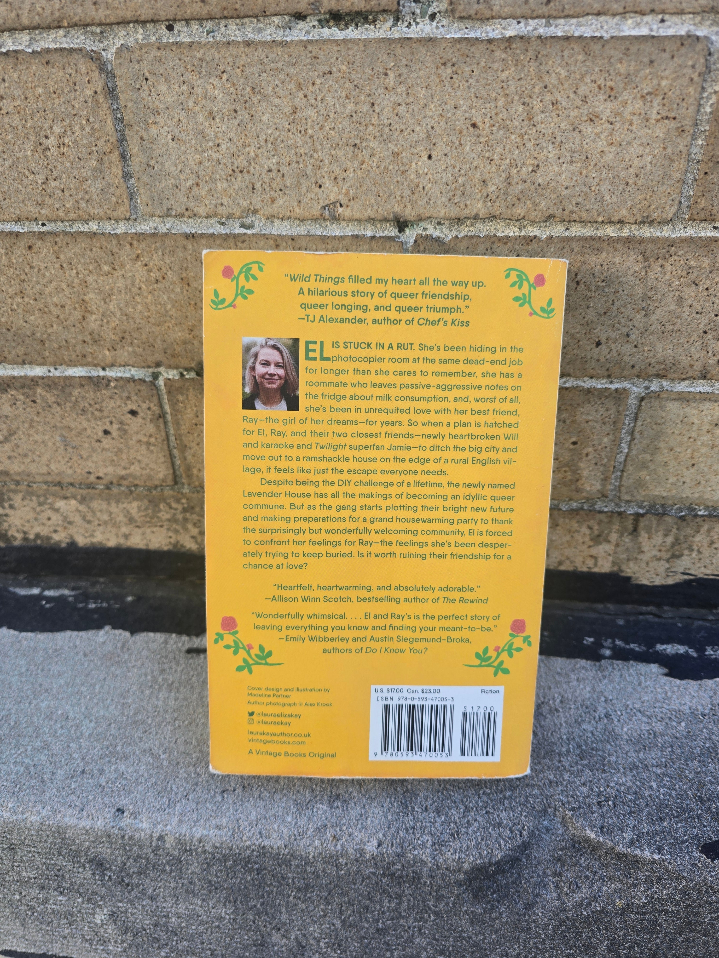 Wild Things — Laura Kay (Paperback)