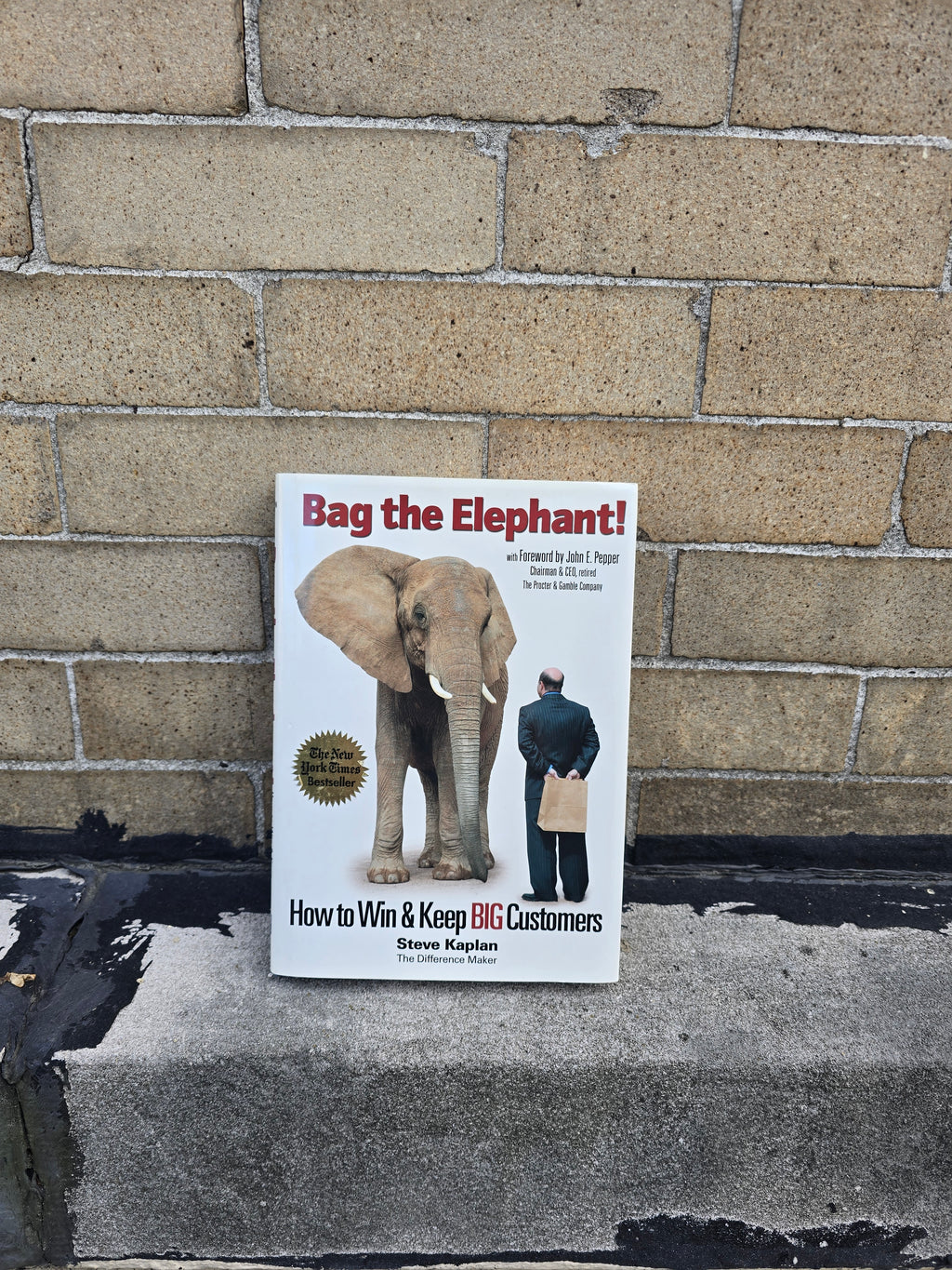 Bag the Elephant! – How to Win & Keep BIG Customers (Steve Kaplan) - Paperback