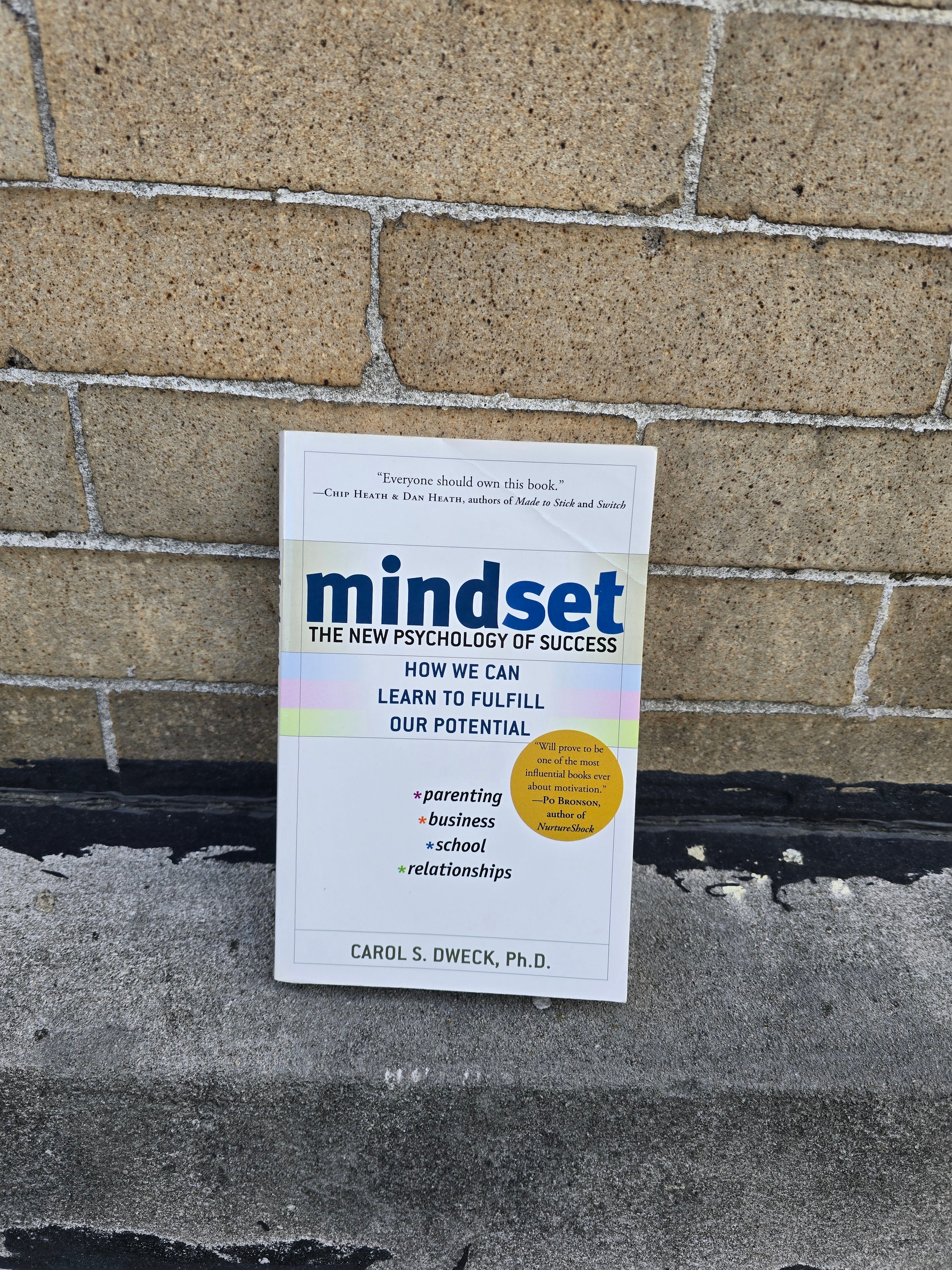 Mindset – The New Psychology of Success by Carol S. Dweck, Ph.D. - Paperback